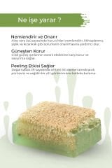 Need Doğal Kabak Lifli Aloe Vera Sabun 130 gr